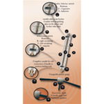 H3-antenne, Radiestesi - Bilde 6