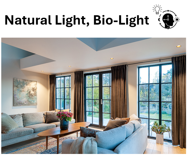 Stue med store vindusflater og naturlig dagslys – eksempel på Bio-Light og dagslysplanlegging i lavstrålehus