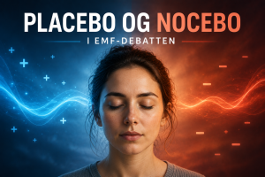 i EMF debatten